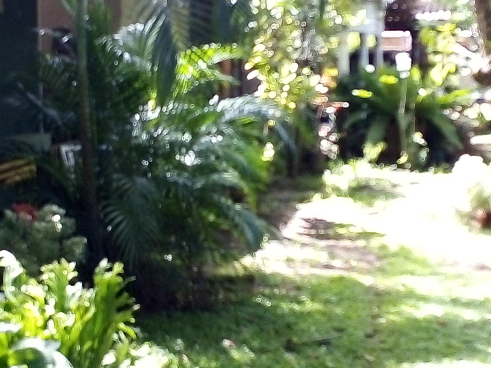 Bandula Home Stay Sigirija Zewnętrze zdjęcie