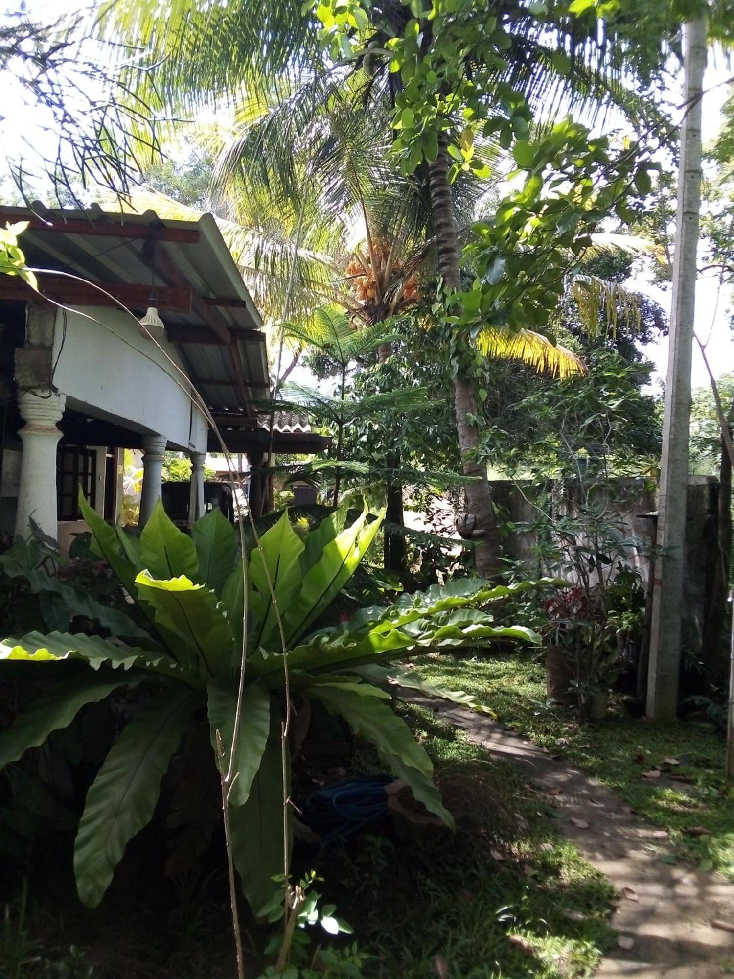 Bandula Home Stay Sigirija Zewnętrze zdjęcie